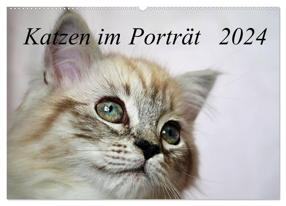 Chats en portrait / calendrier d'anniversaire (calendrier mural CALVENDO 2024) 