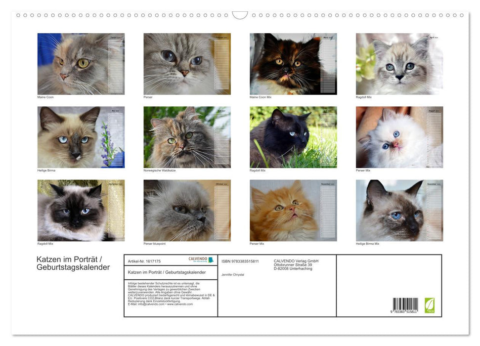 Cats in portrait / birthday calendar (CALVENDO wall calendar 2024) 