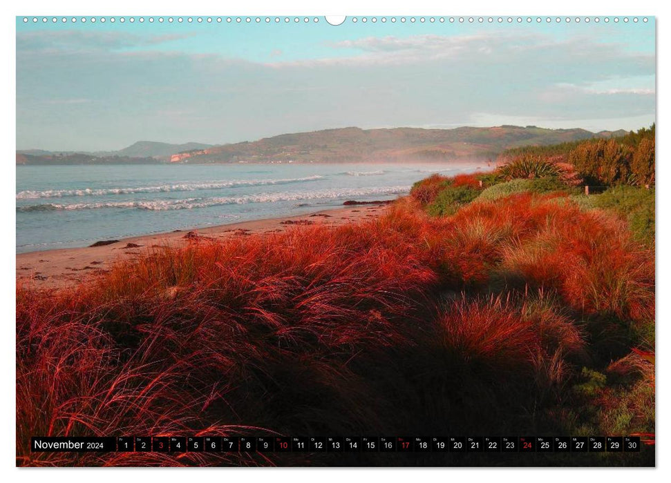 Neuseeland • Impressionen (CALVENDO Premium Wandkalender 2024)