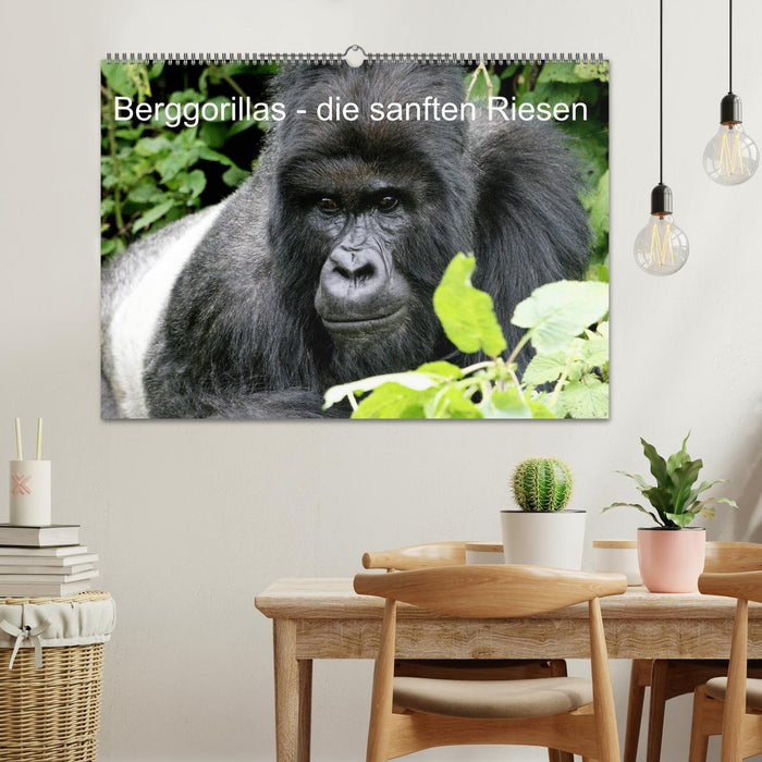 Berggorillas - die sanften Riesen (CALVENDO Wandkalender 2024)