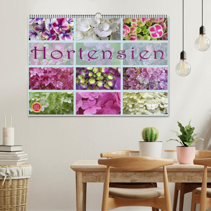 Hortensien / Geburtstagskalender (CALVENDO Wandkalender 2024)