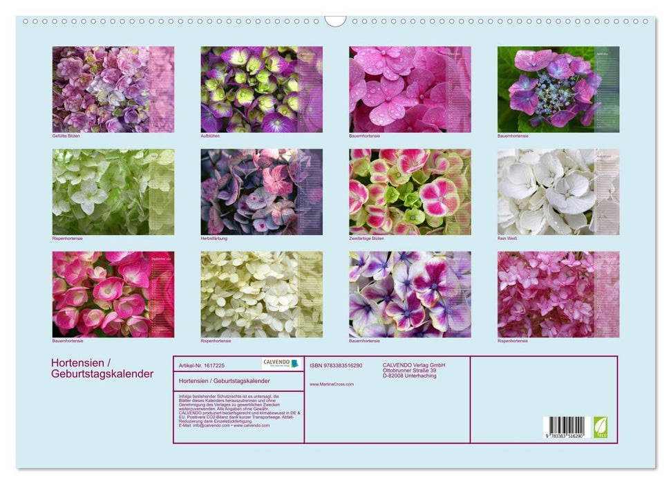 Hortensias / calendrier anniversaire (calendrier mural CALVENDO 2024) 