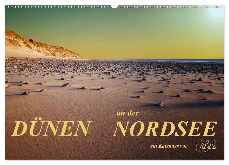 Dunes - sur la mer du Nord (calendrier mural CALVENDO 2024) 