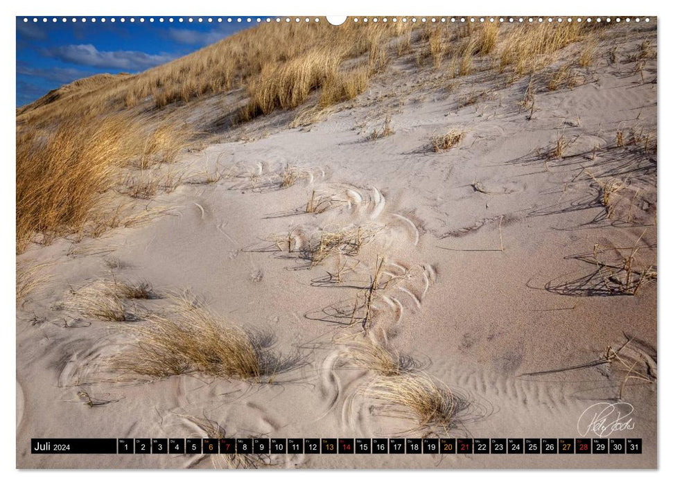 Dunes - on the North Sea (CALVENDO wall calendar 2024) 