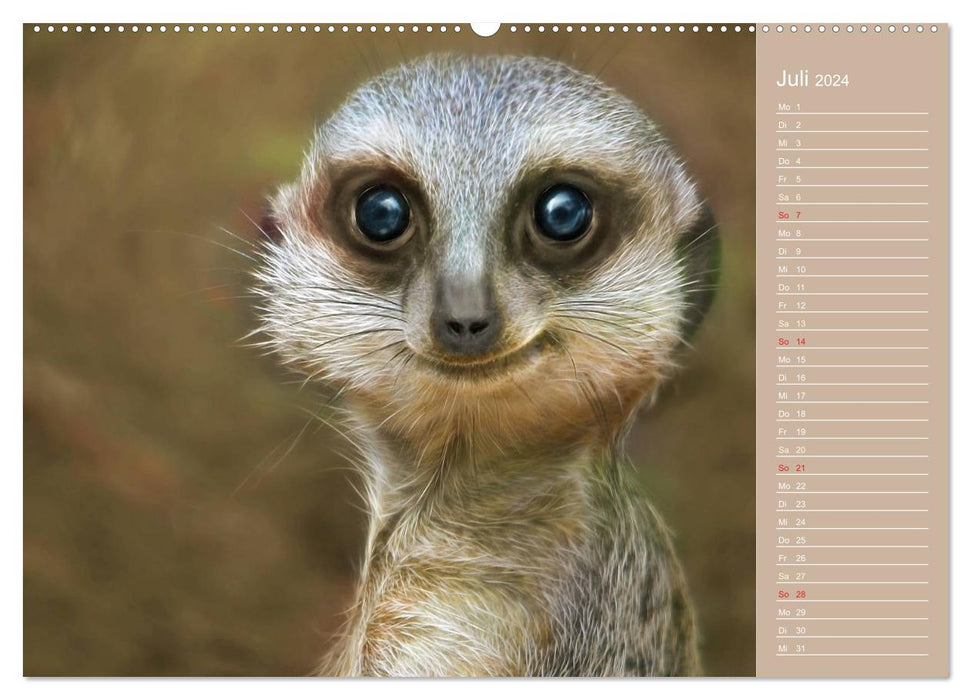 Süsse Tierwelt / CH-Version / Geburtstagskalender (CALVENDO Premium Wandkalender 2024)