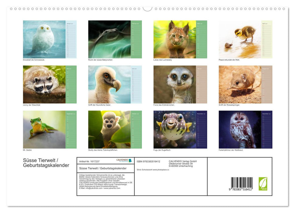 Süsse Tierwelt / Geburtstagskalender (CALVENDO Premium Wandkalender 2024)