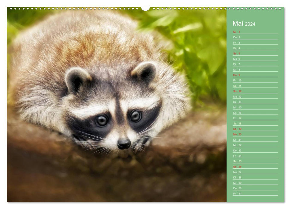 Sweet animal world / birthday calendar (CALVENDO Premium Wall Calendar 2024) 