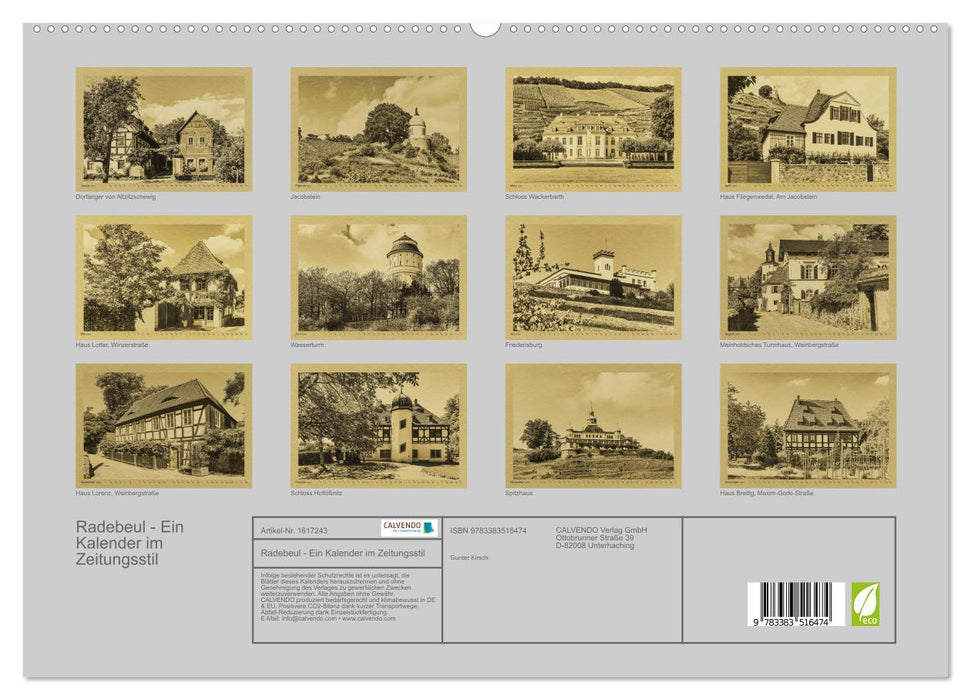 Radebeul - A calendar in newspaper style (CALVENDO Premium Wall Calendar 2024) 