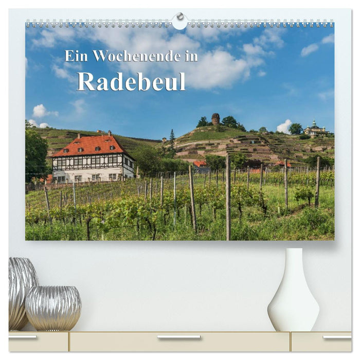 Ein Wochenende in Radebeul (CALVENDO Premium Wandkalender 2024)