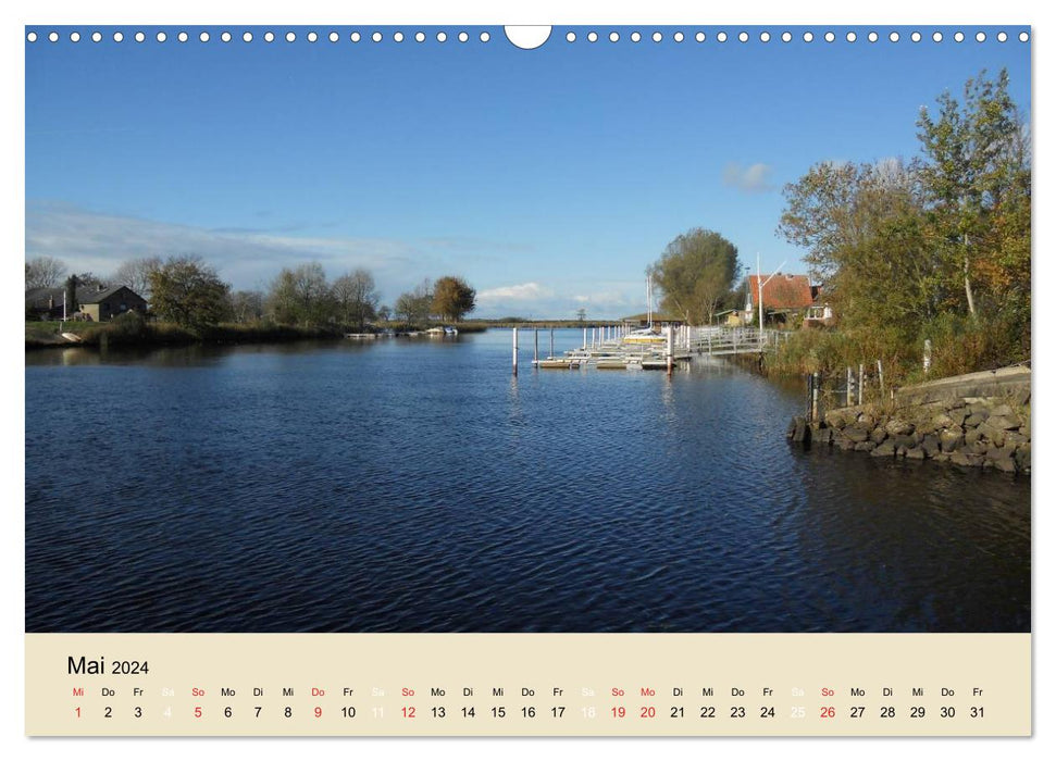 The Eiders (CALVENDO wall calendar 2024) 