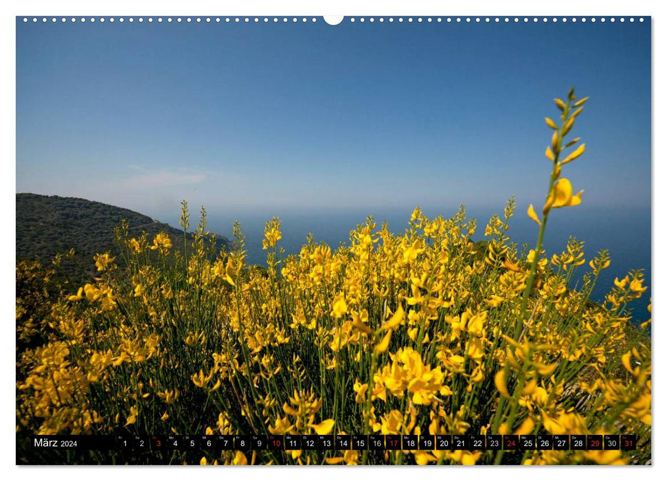 Skiathos + Skopelos (CALVENDO Premium Wandkalender 2024)