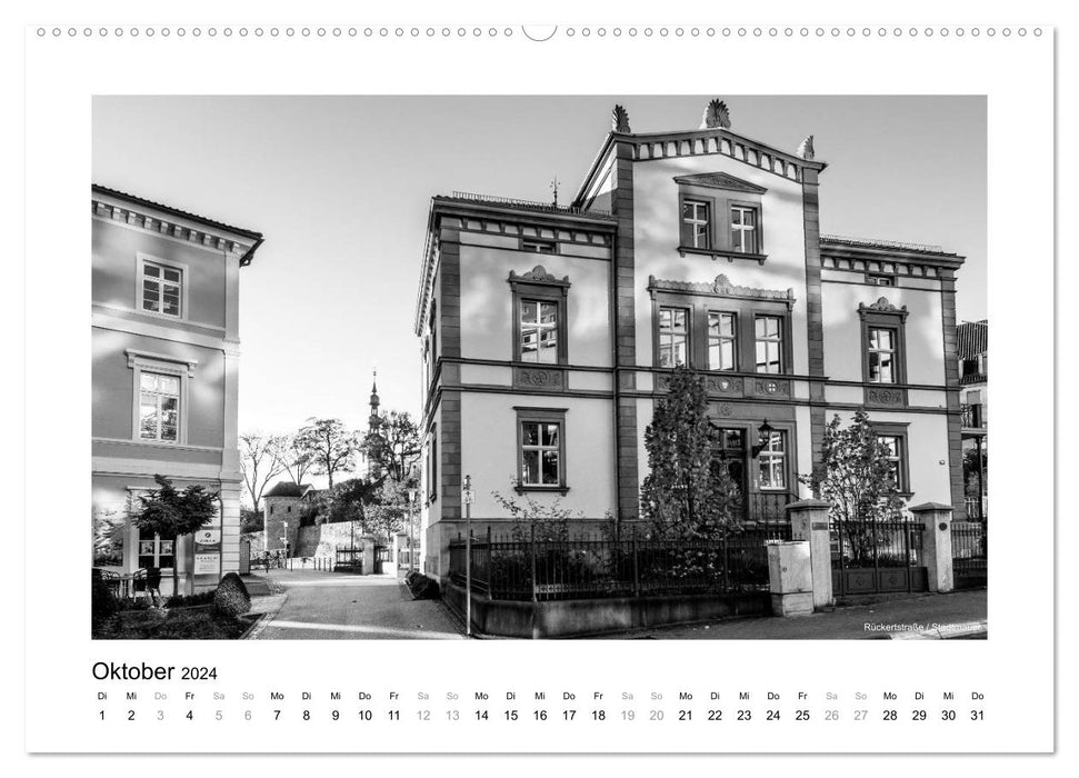 Schweinfurt schwarzweiß (CALVENDO Wandkalender 2024)