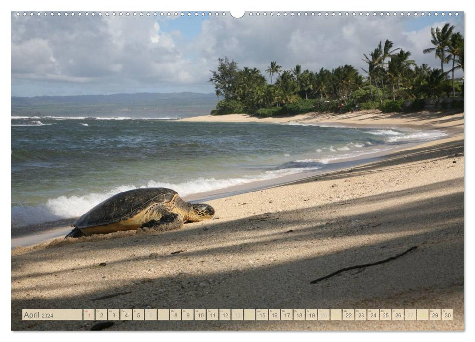 Aloha! Welcome to Hawaii (CALVENDO Premium Wandkalender 2024)