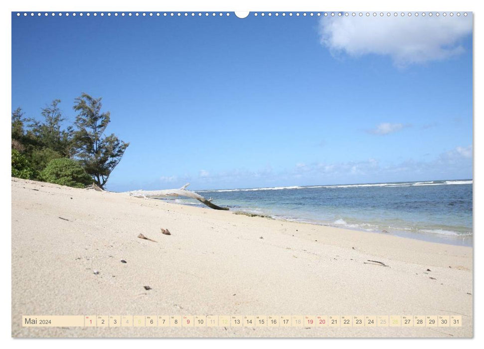 Aloha! Welcome to Hawaii (CALVENDO Premium Wandkalender 2024)