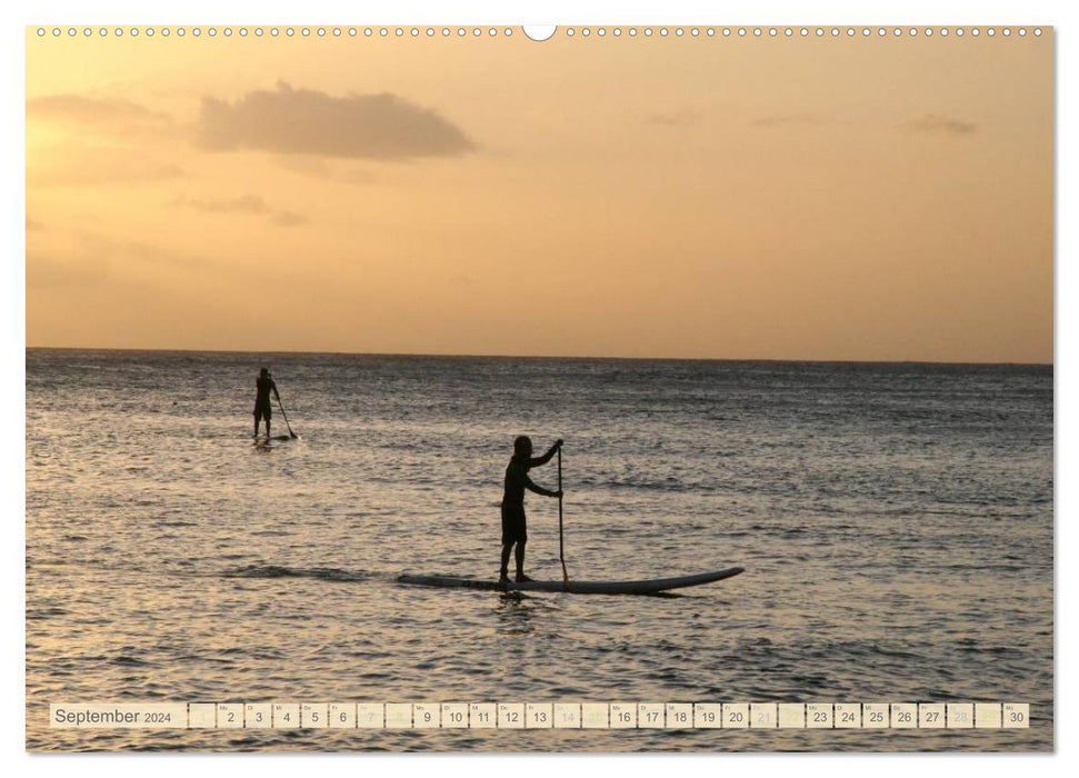 Aloha! Welcome to Hawaii (CALVENDO Premium Wall Calendar 2024) 