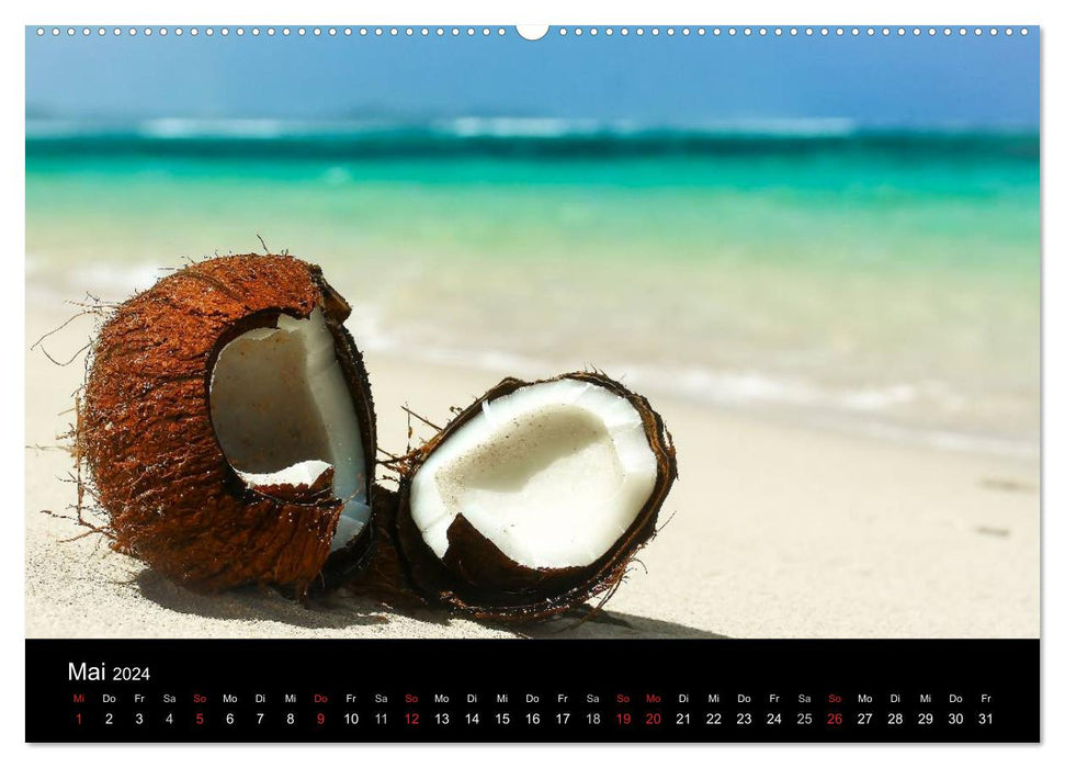 Mauritius - Moments (CALVENDO Premium Wandkalender 2024)