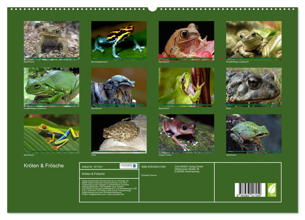 Toads &amp; Frogs (CALVENDO Premium Wall Calendar 2024) 