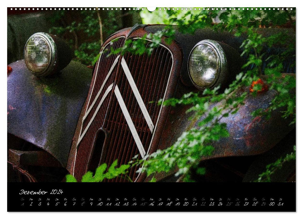 Vintage cars - abandoned rusted forgotten (CALVENDO Premium Wall Calendar 2024) 