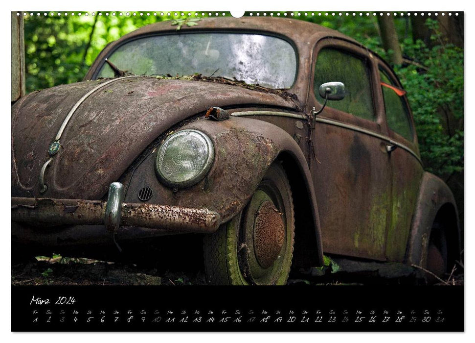 Vintage cars - abandoned rusted forgotten (CALVENDO Premium Wall Calendar 2024) 