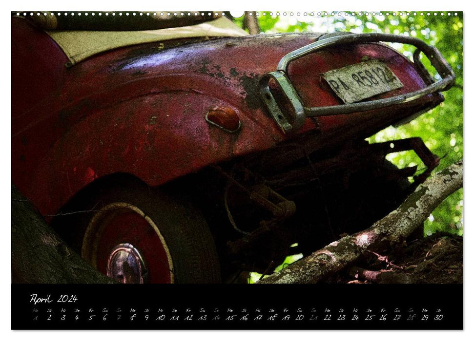 Voitures anciennes - abandonnées rouillées oubliées (Calvendo Premium Wall Calendar 2024) 