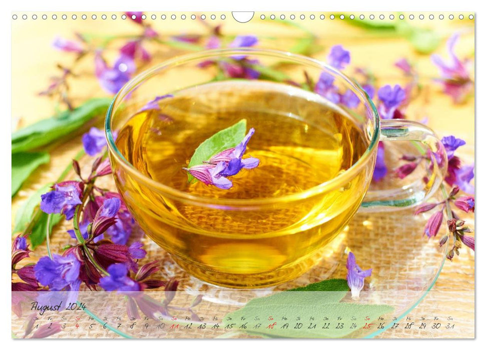 Stay healthy throughout the year with fresh herbs (CALVENDO wall calendar 2024) 
