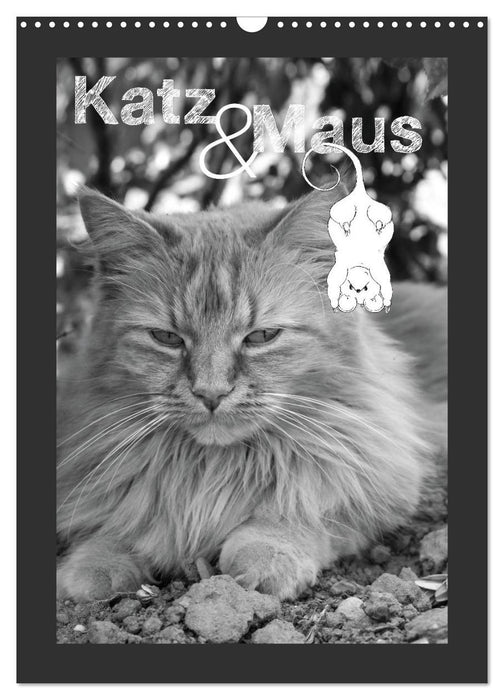 Katz & Maus (CALVENDO Wandkalender 2024)