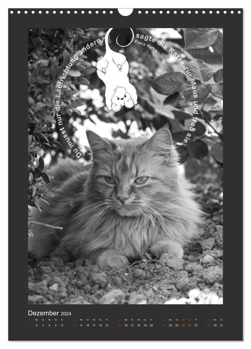 Cat &amp; Mouse (CALVENDO wall calendar 2024) 