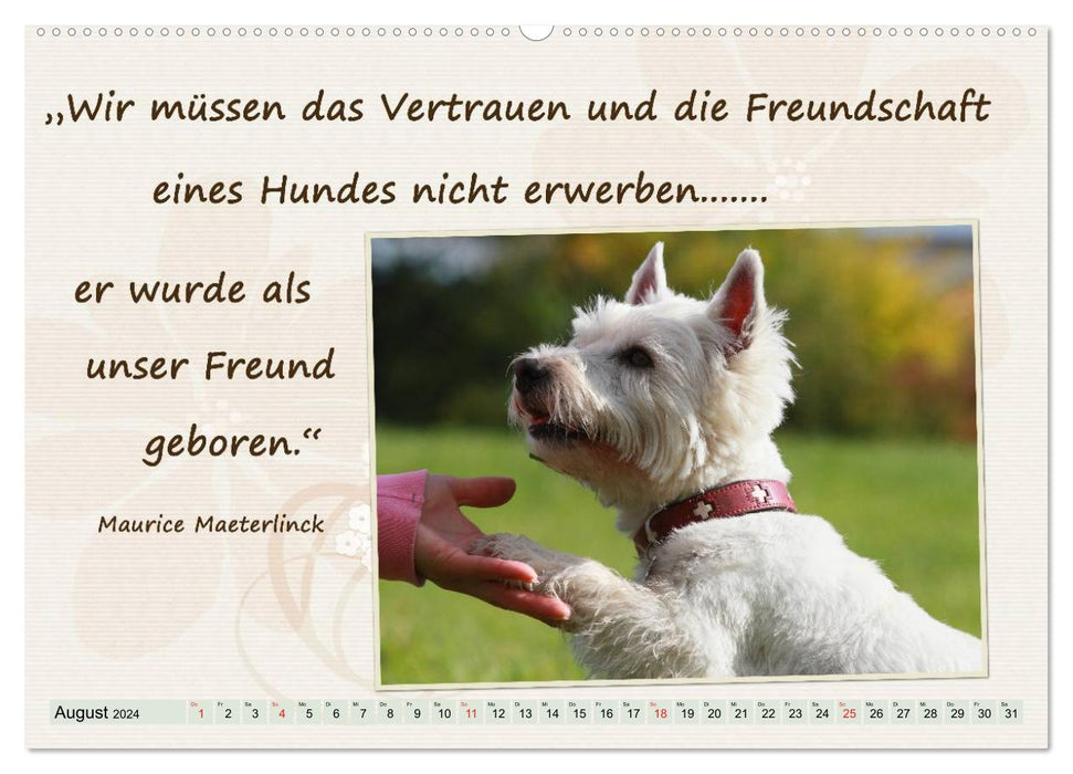 Get through the year well with dog quotes / CH version (CALVENDO Premium Wall Calendar 2024) 