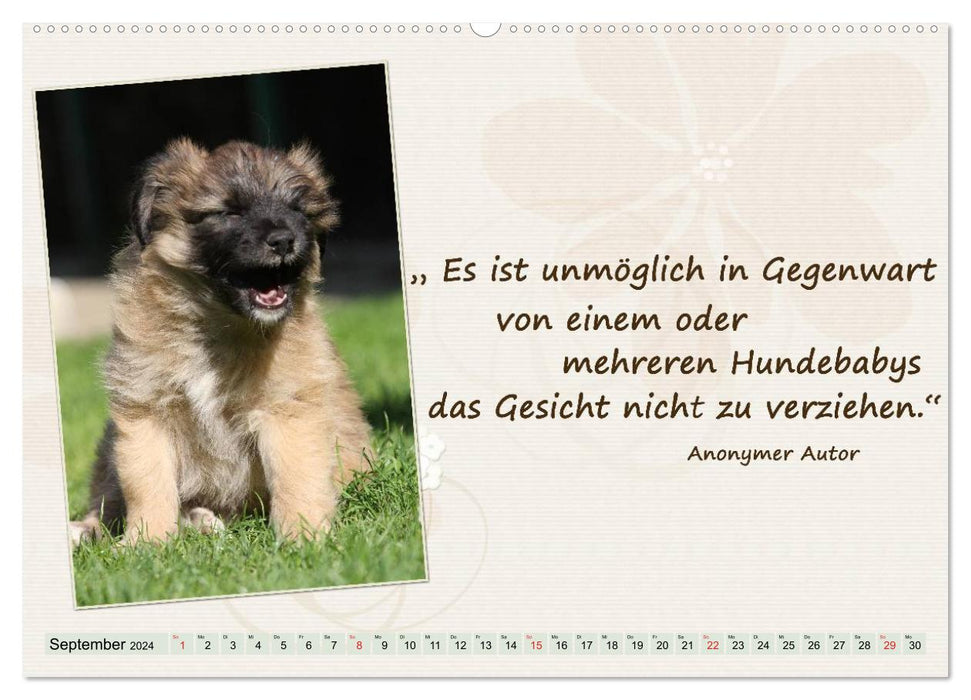 Get through the year well with dog quotes / CH version (CALVENDO Premium Wall Calendar 2024) 
