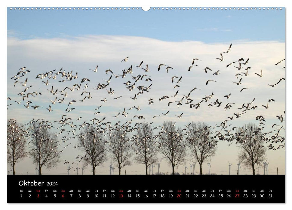 Cry of the Wild Geese (CALVENDO Premium Wall Calendar 2024) 