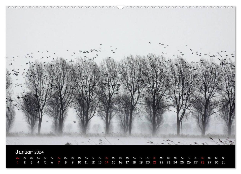 Cry of the Wild Geese (CALVENDO Premium Wall Calendar 2024) 