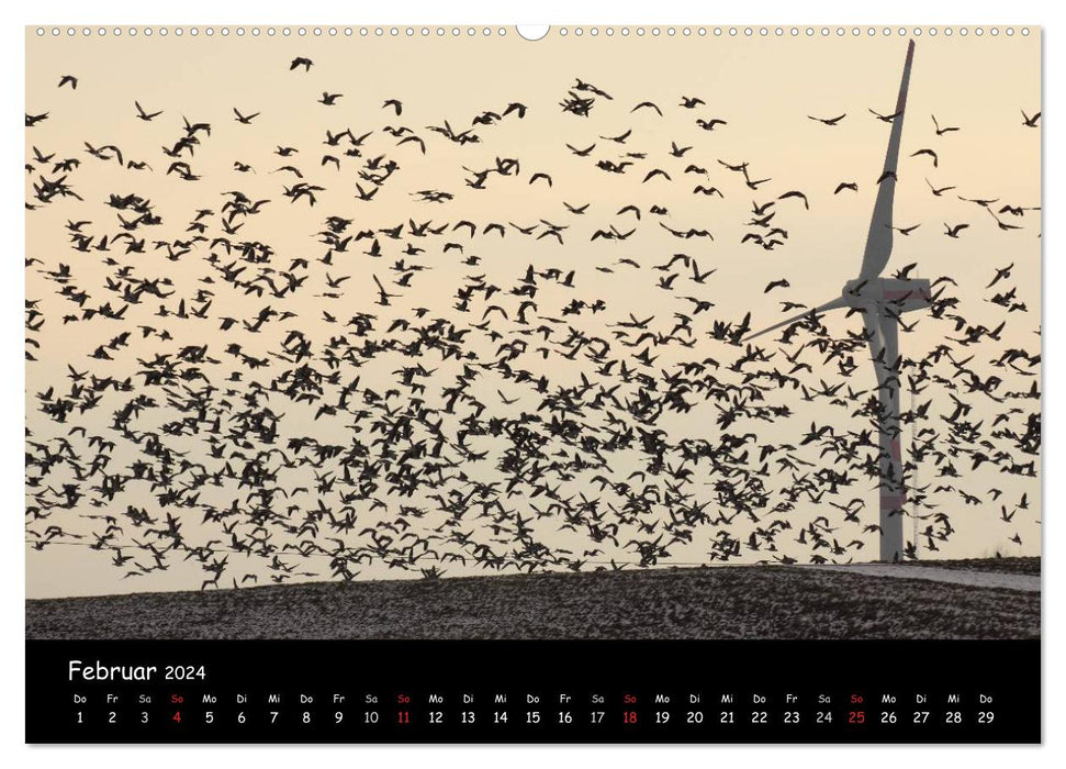 Cry of the Wild Geese (CALVENDO Premium Wall Calendar 2024) 