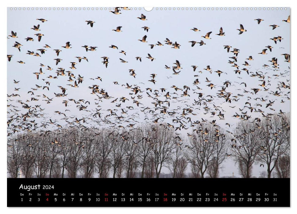 Cry of the Wild Geese (CALVENDO Premium Wall Calendar 2024) 