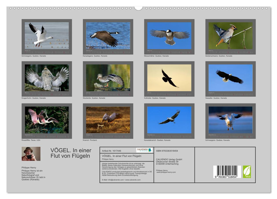 BIRDS (CALVENDO Premium Wall Calendar 2024) 