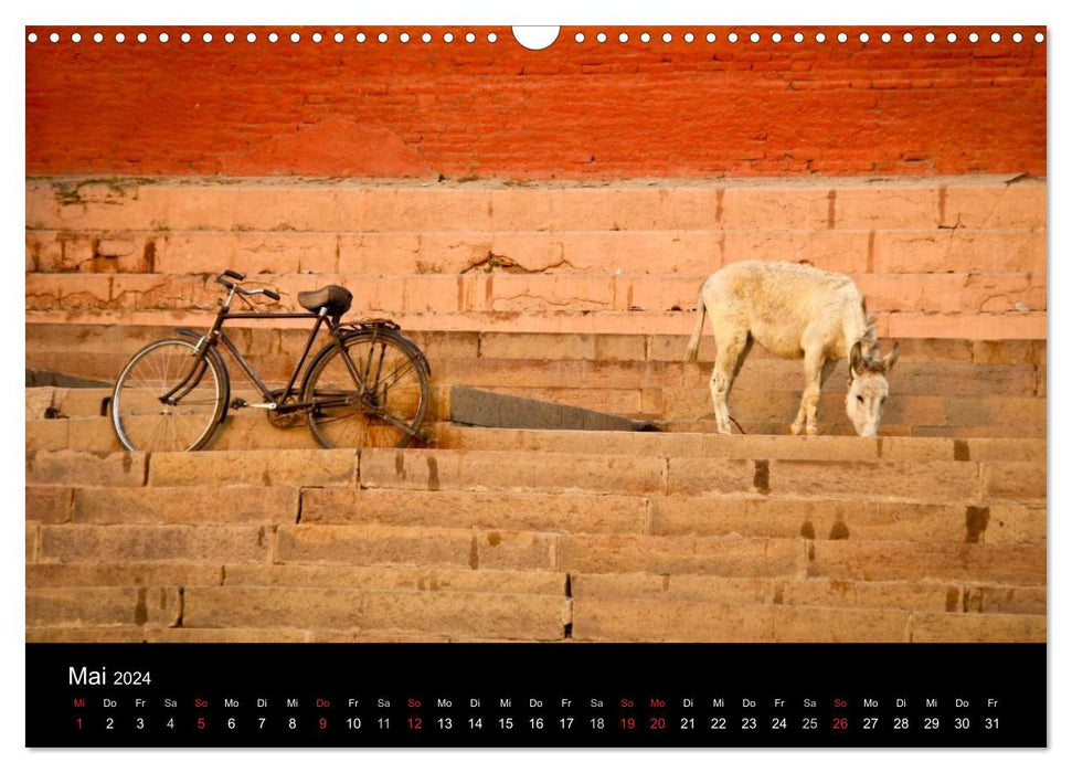 Romantisches Indien (CALVENDO Wandkalender 2024)