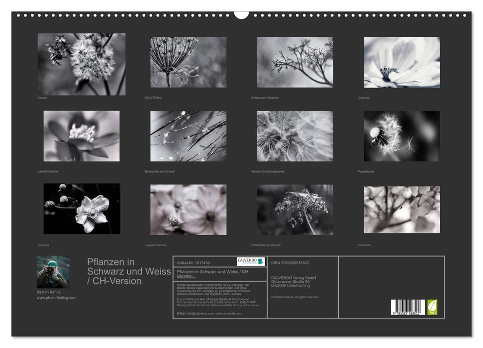 Pflanzen in Schwarz und Weiss / CH-Version (CALVENDO Wandkalender 2024)