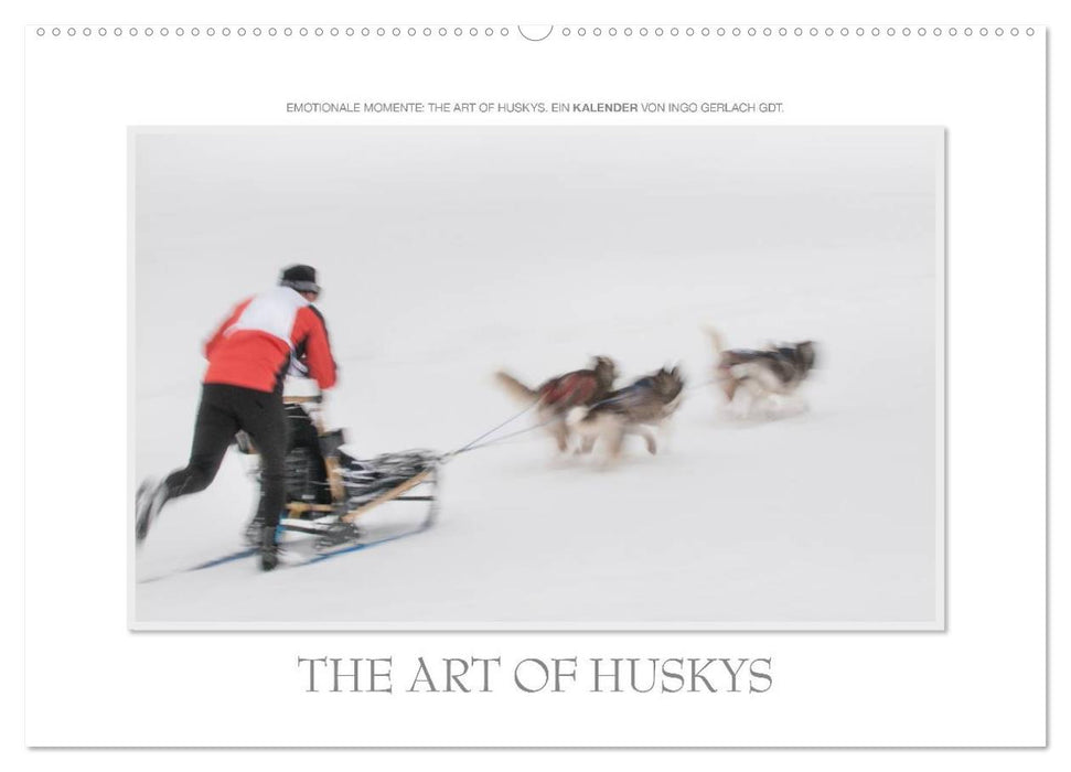 Emotionale Momente: The Art of Huskys. / CH-Version (CALVENDO Wandkalender 2024)