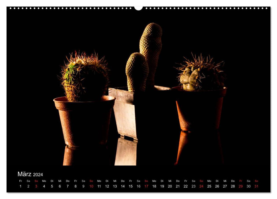 "Three" nature artfully photographed (CALVENDO Premium Wall Calendar 2024) 