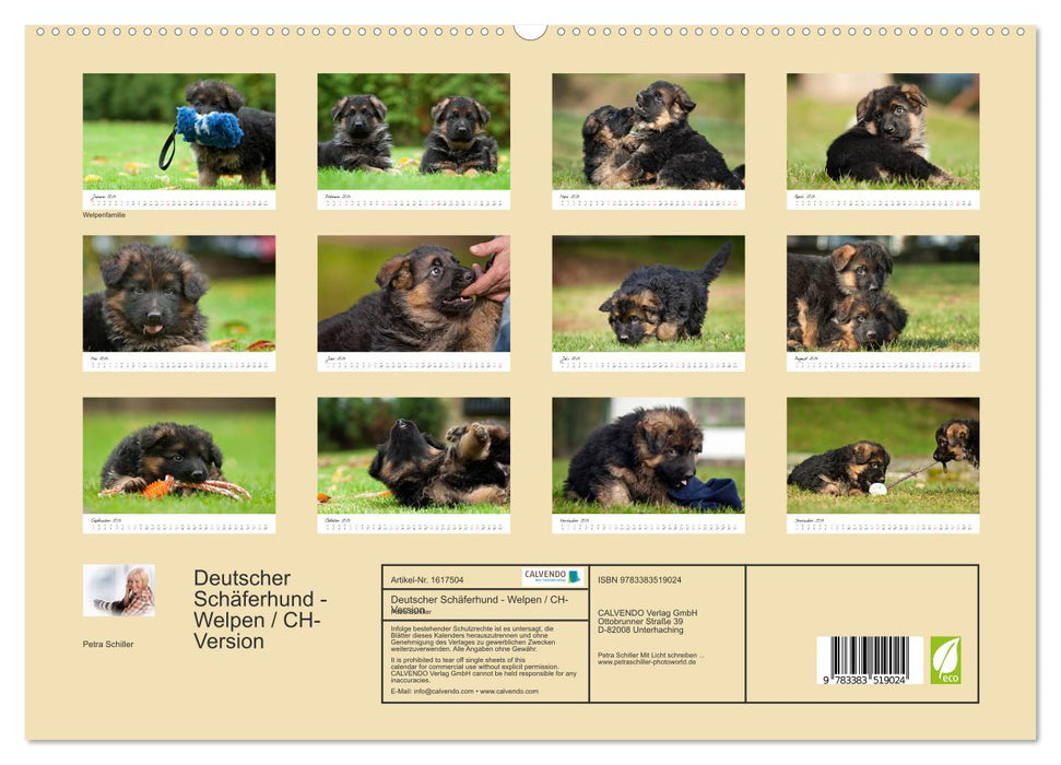 Deutscher Schäferhund - Welpen / CH-Version (CALVENDO Premium Wandkalender 2024)