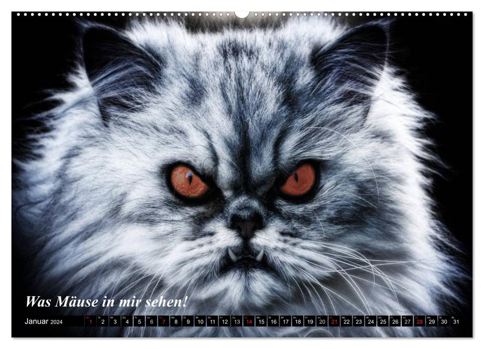 Les chats • Tels qu'ils sont réellement ! (Calendrier mural CALVENDO 2024) 