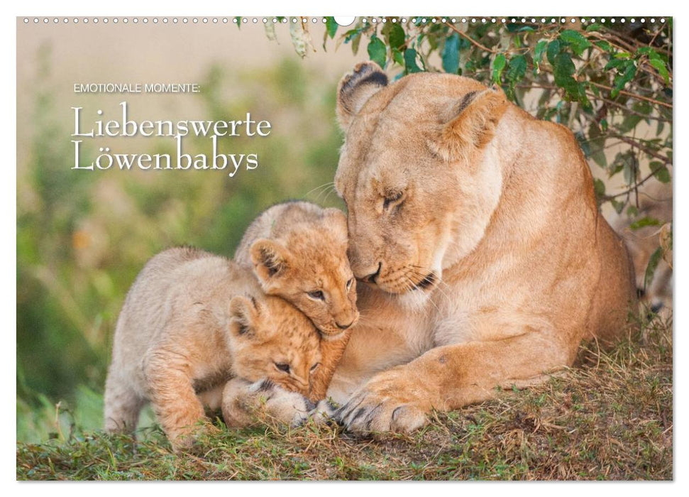 Emotionale Momente: Liebenswerte Löwenbabys / CH-Version (CALVENDO Wandkalender 2024)