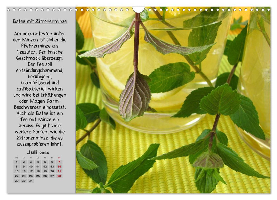 Eine kleine Teekunde - Zwölf Teesorten im Porträt (CALVENDO Wandkalender 2024)