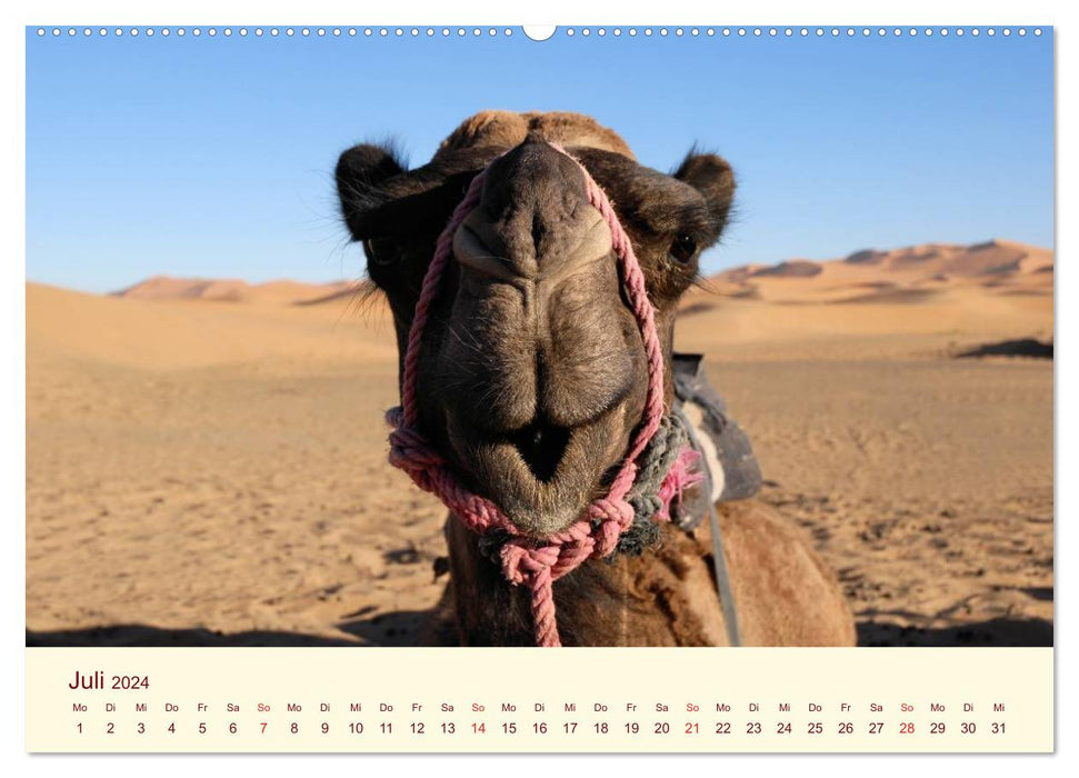Marokko – Perle Nordafrikas / CH-Version (CALVENDO Premium Wandkalender 2024)