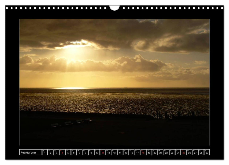 Licht über Dithmarschen (CALVENDO Wandkalender 2024)