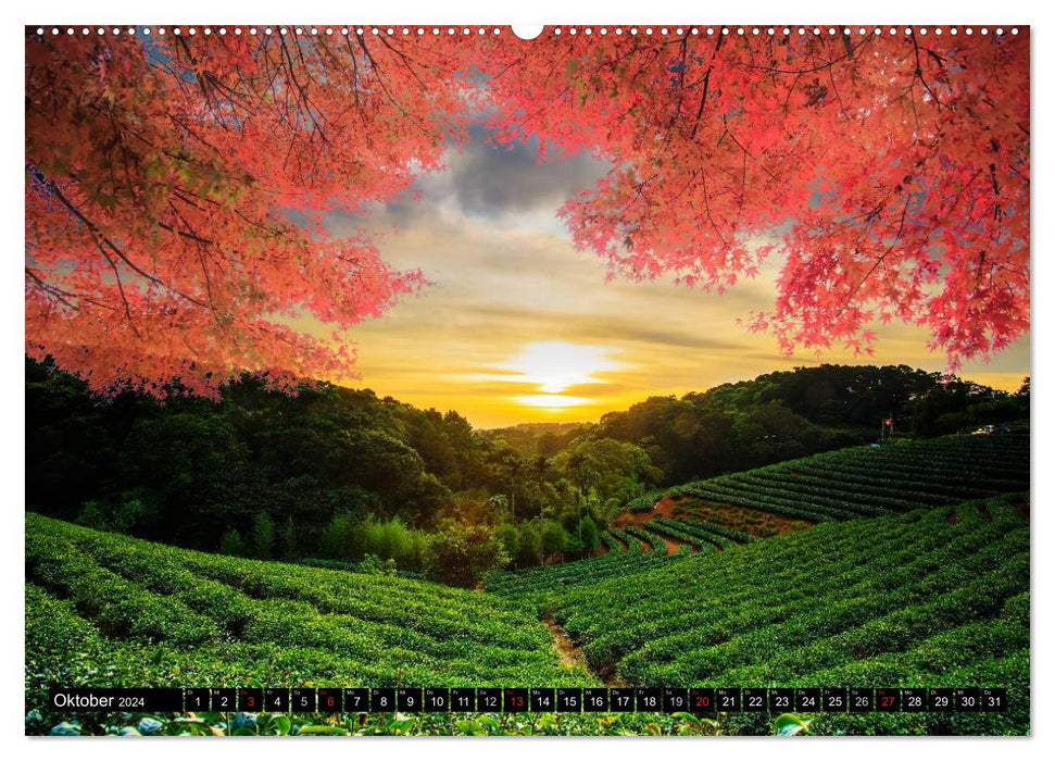 Japon. Impressions (Calendrier mural CALVENDO Premium 2024) 