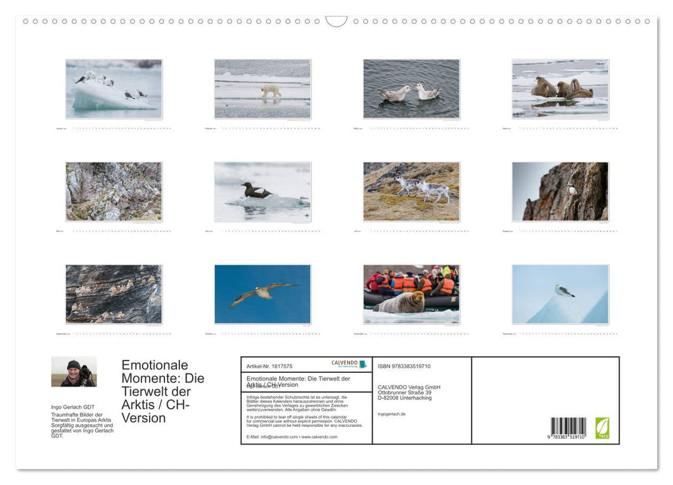 Moments d'émotion : La faune de l'Arctique / version CH (calendrier mural CALVENDO 2024) 