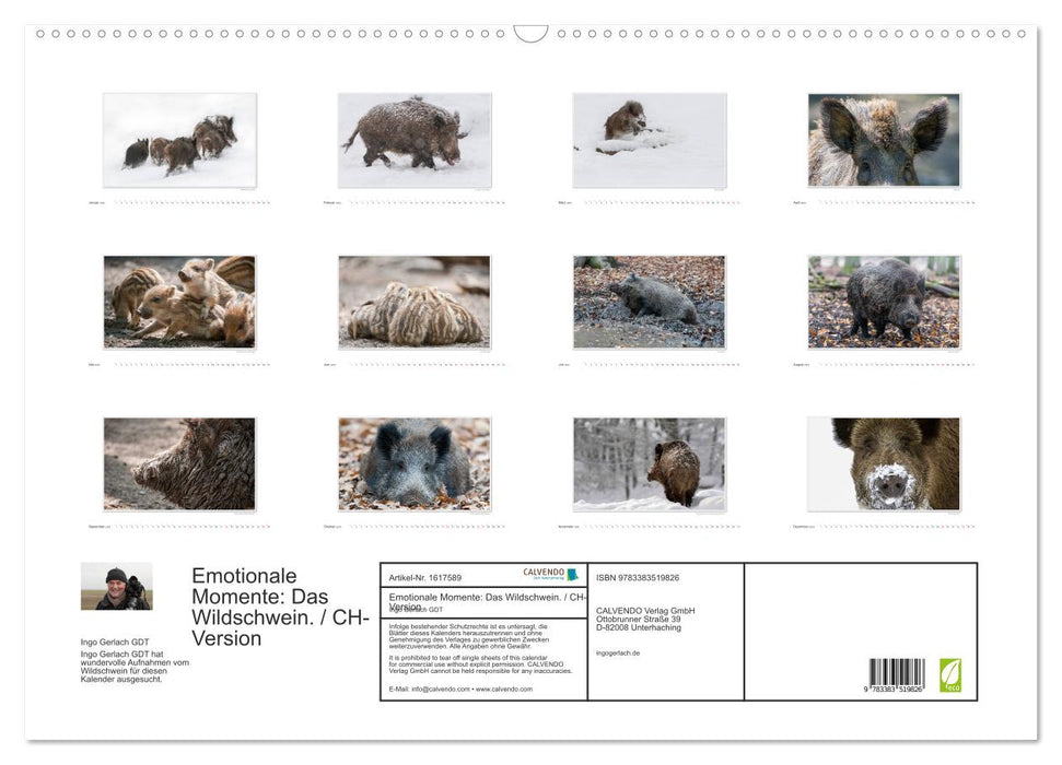 Emotionale Momente: Das Wildschwein. / CH-Version (CALVENDO Wandkalender 2024)