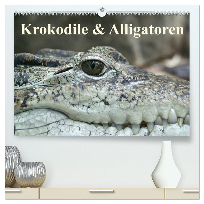 Crocodiles &amp; Alligators (CALVENDO Premium Wall Calendar 2024) 
