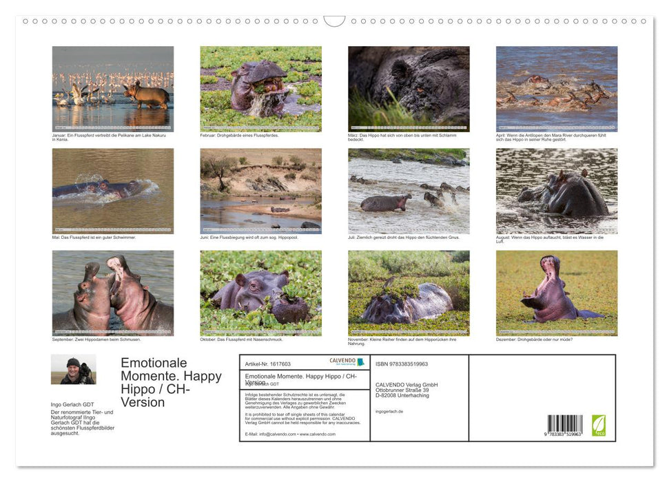Emotionale Momente. Happy Hippo / CH-Version (CALVENDO Wandkalender 2024)