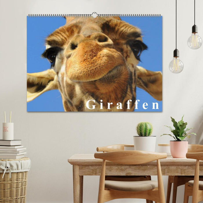 Giraffen / Geburtstagskalender (CALVENDO Wandkalender 2024)